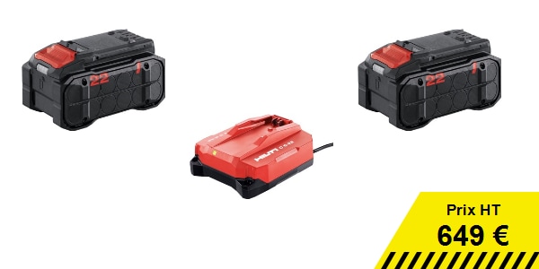 2 batteries 22V + chargeur Nuron
