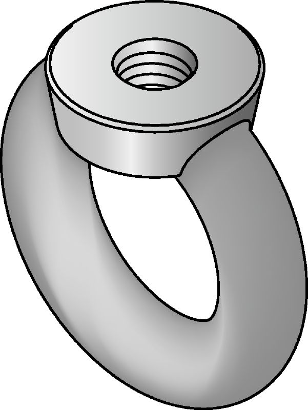 Œillet plat DIN 582 (A4) en acier inoxydable Œillet plat en acier inoxydable (A4) conforme à DIN 582 avec tête en forme de boucle pour recevoir un crochet