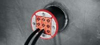 Bouchons d'étanchéité CFS-T RR à CEM Bouchon d'étanchéité à compatibilité électromagnétique pour les modules d'ajustement pour sceller plusieurs câbles/tuyaux dans des passages ronds Applications 1