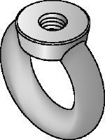 Œillet plat DIN 582 (A4) en acier inoxydable Œillet plat en acier inoxydable (A4) conforme à DIN 582 avec tête en forme de boucle pour recevoir un crochet