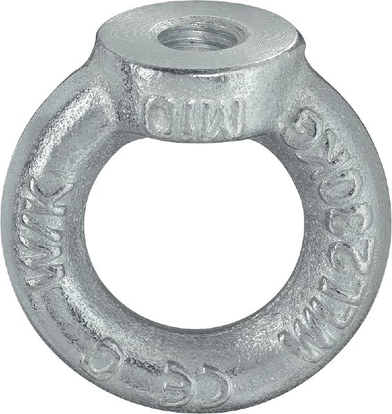 vis à collier PU: 10 pièces Vis à tête plate avec bride M8 x 16 mm avec TX hexalobulaire après ISO 7380-2 en acier inoxydable A2 V2A D2D 