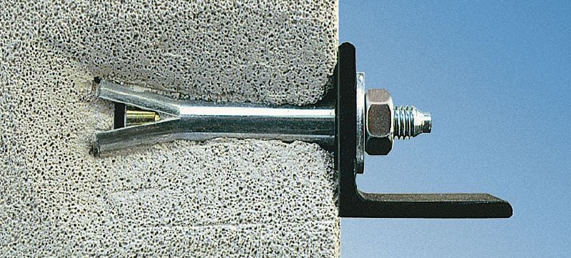 Cheville pour béton cellulaire W-PA type I pour Professionnels