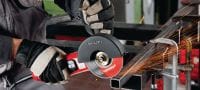Meuleuse d'angle AG 125-15DB Meuleuse d'angle 1 500 W avec interrupteur de type homme mort et frein pour une sécurité maximale, pour disques jusqu'à 125 mm Applications 2